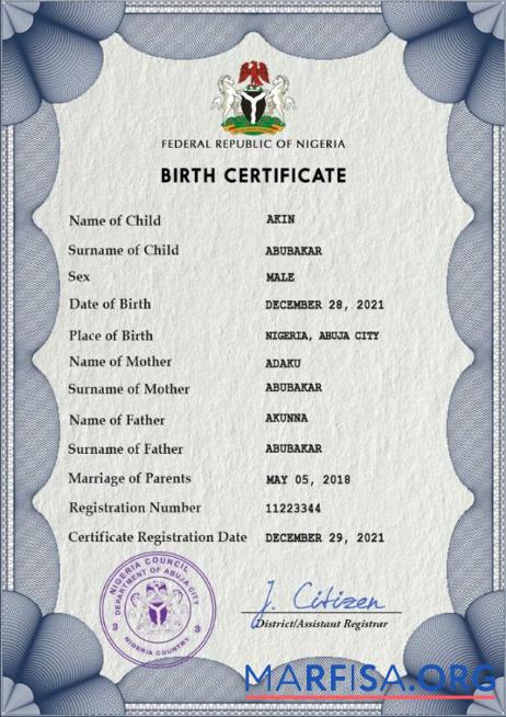 Blank Nigeria vital record birth certificate PSD template